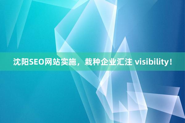 沈阳SEO网站实施，栽种企业汇注 visibility！