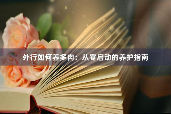 外行如何养多肉：从零启动的养护指南